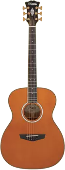 Акустическая гитара D'Angelico Excel Tammany Vintage Natural w/Gigbag