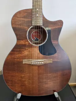 Акустическая гитара Eastman PCH1-GACE Sitka/Sapele - Classic Finish - Gig Bag Inluded!