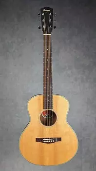 Акустическая гитара Eastman PCH2-TG