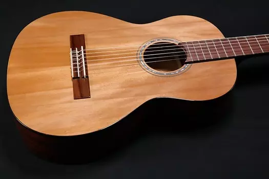 Акустическая гитара Fender FA-15N 3/4 Nylon w/ Gig Bag 114