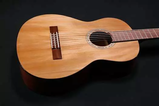 Акустическая гитара Fender FA-15N 3/4 Nylon w/ Gig Bag 111