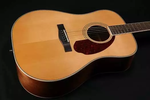 Акустическая гитара Fender PM-1E Standard Dreadnought - Ovangkol Fingerboard - Natural w/case
