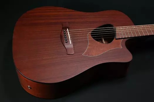 Акустическая гитара Ibanez Altstar ALT20 Acoustic Electric Guitar Open Pore Natural - 139