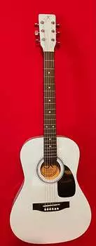 Акустическая гитара J. Reynolds JR14PB 36" 3/4 Acoustic 2010s - Powder Blue