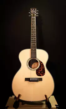 Акустическая гитара Larrive OM-05 Vine Logo, Moon Spruce & Mahogany