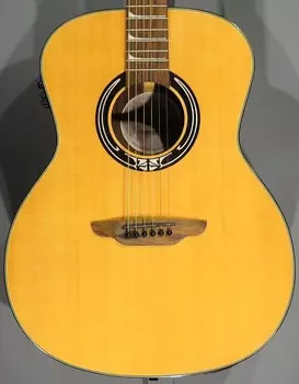 Акустическая гитара Luna Artist Series Art Nouveau Natural