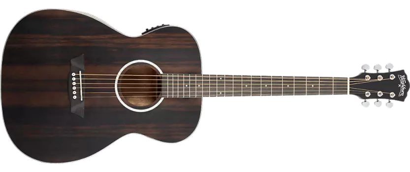 Акустическая гитара NEW!!! Washburn Deep Forest Ebony FE - DFEFE-A-U
