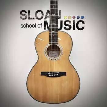 Акустическая гитара PRS PPE50 Parlor Acoustic - Black Gold