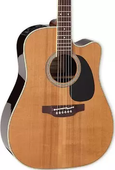 Акустическая гитара Takamine EF360SC-TT Thermal Top Acoustic-Electric w/Case