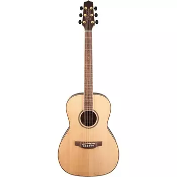Акустическая гитара Takamine G Series New Yorker Natural