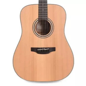 Акустическая гитара Takamine GD20 Dreadnought Natural