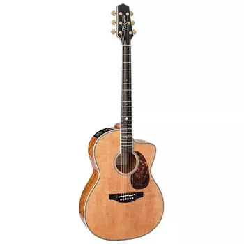 Акустическая гитара Takamine LTD2022 Limited Edition Acoustic Electric Guitar