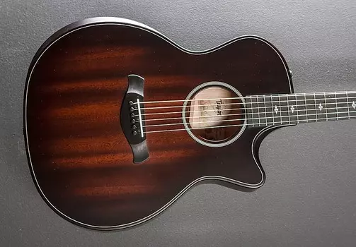 Акустическая гитара Taylor Builder's Edition 324CE