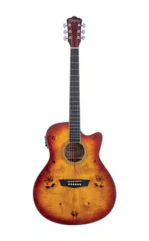 Акустическая гитара Washburn - Amber Fade Deep Forest Burl Grand Auditorium Acoustic Electric! DFBACEA
