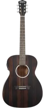 Акустическая гитара Washburn Deep Forest Ebony FE