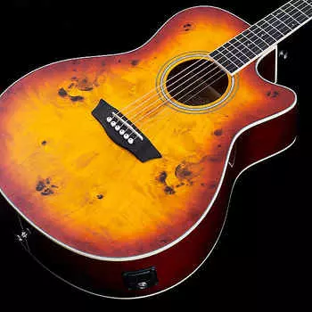 Акустическая гитара Washburn DFBACEA Deep Forest Burl Ace Auditorium Mahogany Neck 6-String Acoustic-Electric Guitar