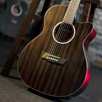 Акустическая гитара Washburn DFEACE | Deep Forest Auditorium Acoustic / Electric Guitar. New with Full Warranty!