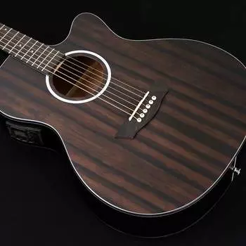 Акустическая гитара Washburn DFEACE Deep Forest Grand Auditorium Shape Ebony Ace Wood 6-String Acoustic-Electric Guitar