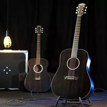 Акустическая гитара Washburn DFED Forest Dreadnought Shape Striped Ebony Ace Wood Mahogany Neck 6-String Acoustic Guitar