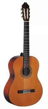 Акустическая гитара Washburn - Natural C5 Classical Acoustic! C5-WSH-A