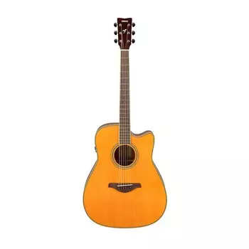 Акустическая гитара Yamaha Vintage Tint Yamaha Vintage Tint Acoustic Guitar