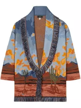 Alanui кардиган On The Road из смесовой шерсти, синий