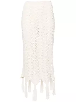 Alanui юбка макси с узором шеврон, нейтральный цвет