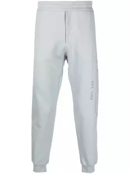 Alexander McQueen спортивные брюки с логотипом, серый