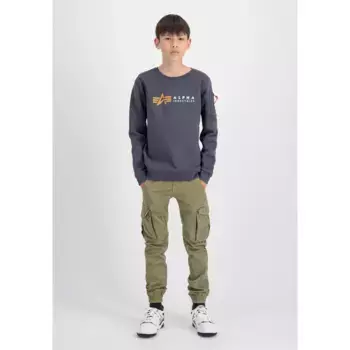 Alpha Industries Свитер «Alpha Industries Kids - Толстовки», цвет greyblack
