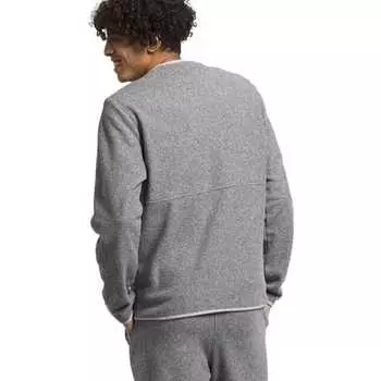 Alpine Polartec 100 Crew мужские The North Face, серый