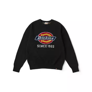 Американская толстовка DK0A87F1 унисекс Dickies, темно-синий