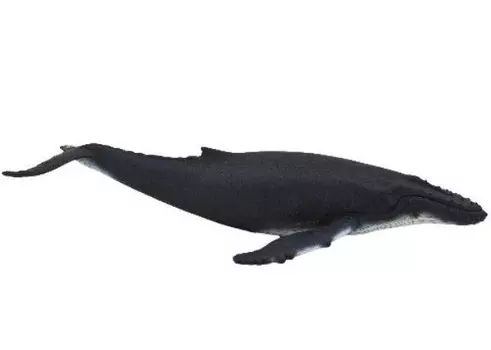 ANIMAL PLANET 7119 Горбатый кит Делюкс (GXP-532723) Mojo