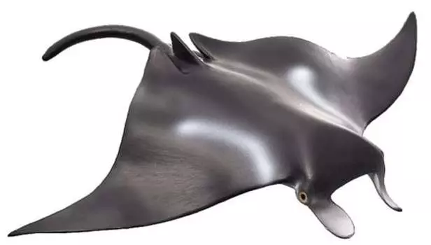 ANIMAL PLANET Размер манты: L Mojo