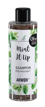 Anwen Mint It Up шампунь, 200 ml