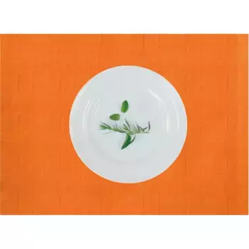 АПЭЛТ Подставка для столовых приборов «Аризона, Uni-Basic», (набор, 2 шт.), имитация льна Apelt, цвет orange