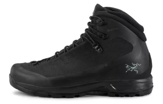 Кроссовки мужские Arcteryx Acrux GTX, черный