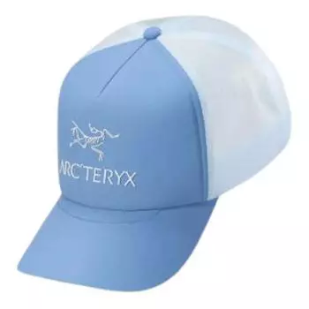 Arcteryx Бейсболка унисекс синего цвета