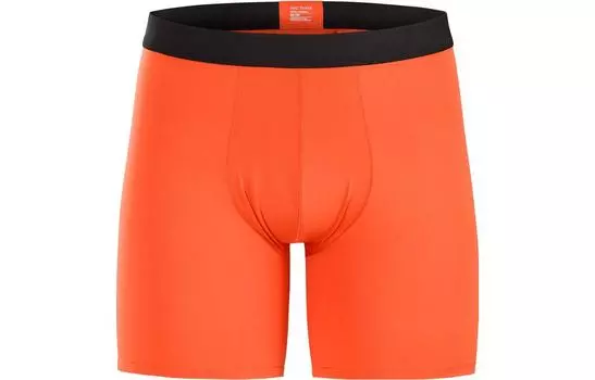 Боксеры мужские Arcteryx, черный