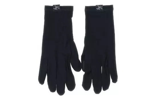 Перчатки мужские Arcteryx, черный