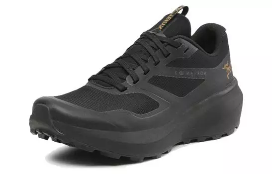 Arcteryx Norvan LD 3 Кроссовки унисекс, черный