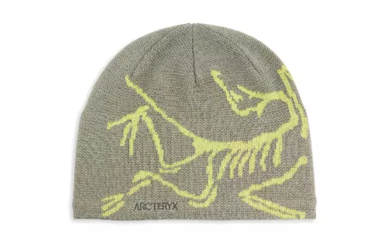 Arcteryx Шапка-бини из полиэстера унисекс, цвет Forage/Sprint серый