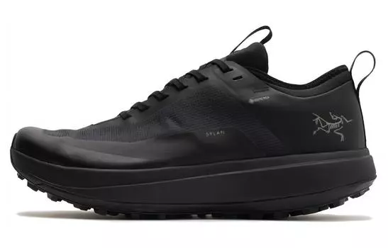 Кроссовки мужские Arcteryx Sylan GTX, черный