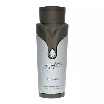 Armaf Magnificent Pour Homme парфюмированная вода для мужчин, 100 мл