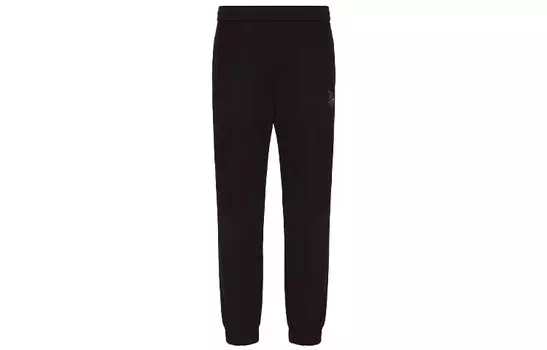 ARMANI EXCHANGE Мужские трикотажные спортивные штаны, цвет Black
