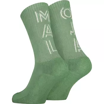 АрниМ Носки Maloja, зеленый