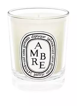 Ароматическая свеча Diptyque AMBRE