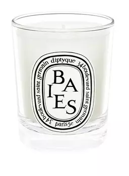 Ароматическая свеча Diptyque BAIES