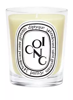 Ароматическая свеча Diptyque COING
