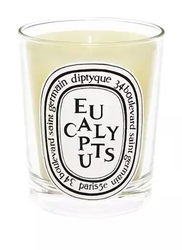 Ароматическая свеча Diptyque EUCALYPTUS
