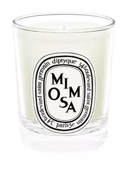 Ароматическая свеча Diptyque MIMOSA
